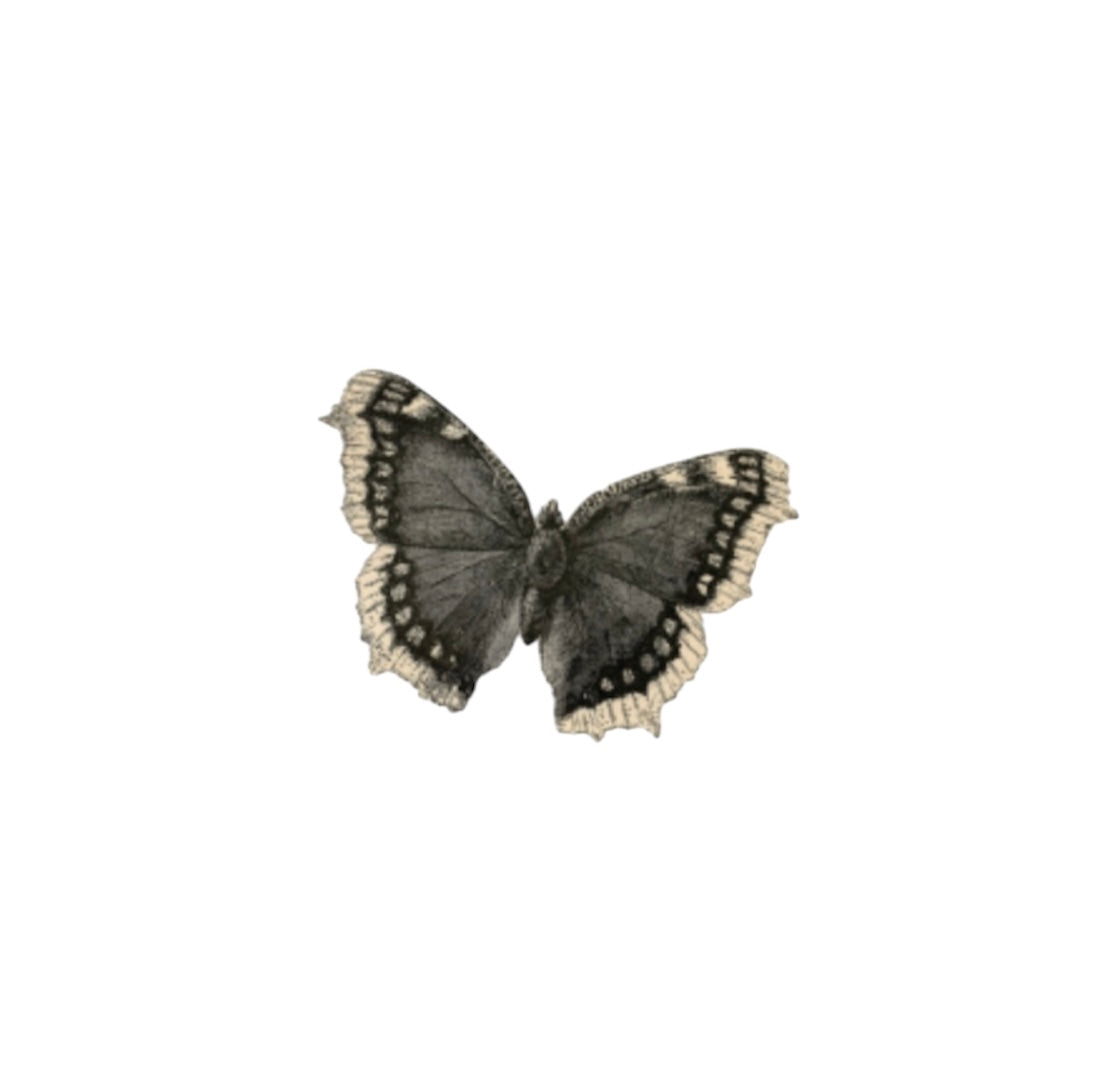 Butterfly Metal Sticker | SALE
