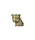 Leopard Metal Sticker | SALE